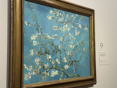 冬のオランダ旅行13（年明けのオランダ）