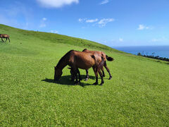 2024年秋、バイキングと温泉を楽しむ九州ぐるっとツーリング旅(4日目)