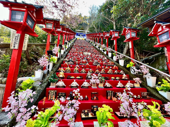 何年前だったかな？初めて勝浦の遠見岬神社の雛人形をTVで見たパパが<br />「ここ！すごい！行ってみたい！」<br />といい出しました。<br />当初は勝浦に宿泊しないといけないんじゃない？と思っていたけど、今年のバレンタインの時に鴨川にお泊まりしにきた時に<br />「意外と近い」<br />と言うことに気づいた働きマン。<br /><br />そして、３月２日（日）働きマンもパパがお休みだったので、行ってきました！勝浦ビックひな祭り♪♪