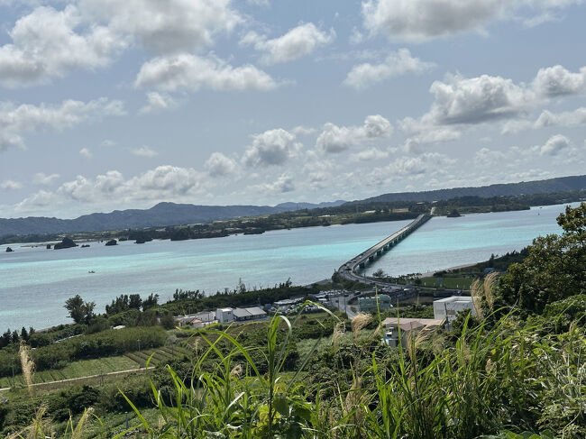 座喜味城跡、万座毛、今帰仁城跡、古宇利島(古宇利大橋を渡り、オーシャンタワーから絶景を一望)、海中道路を通って奥武島へ、