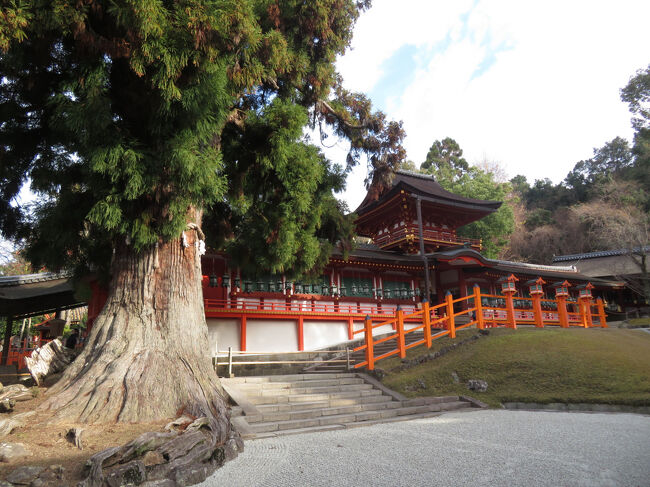 春日大社、新薬師寺を拝観後、春日若宮おん祭の後宴能を鑑賞。