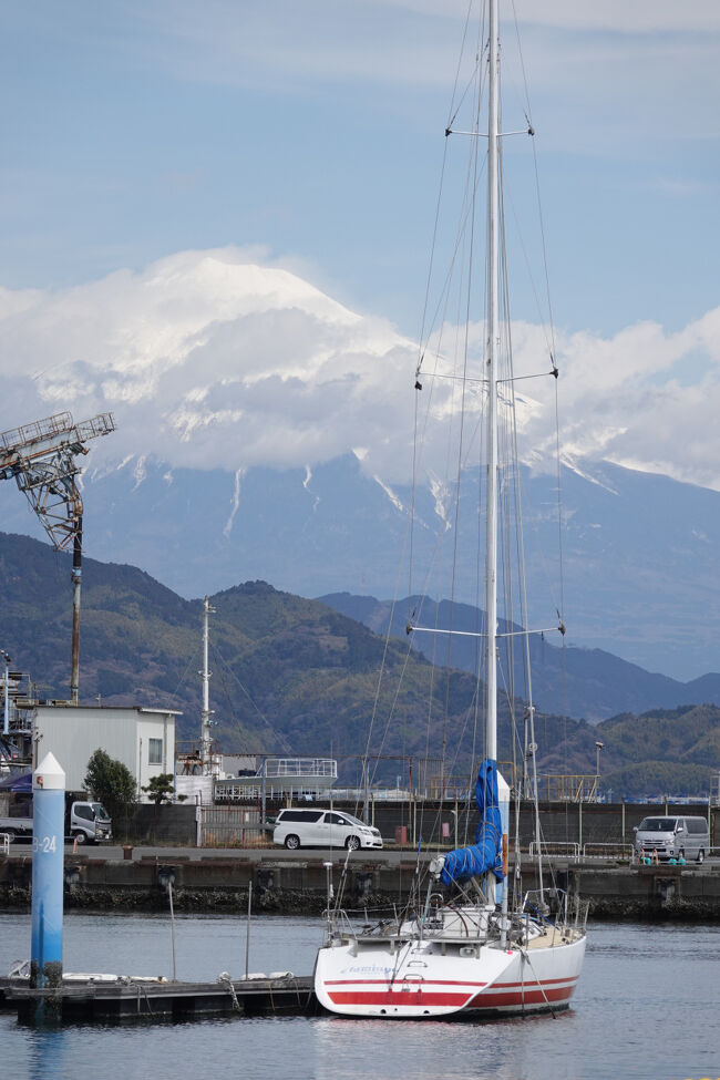 久し振りに天気が良かったので初ですが清水港船宿記念館「末廣」に行ってみました。 記念館では次郎長って結構美談にまとめていますが若い頃はけんかっ早く何人も人を殺めていますのでね。 子分の20人衆写真を見ましたが私から見ればチンピラ風ですね (あくまでも私感ですよ 実際の本人は慕われているかもしれませんから)