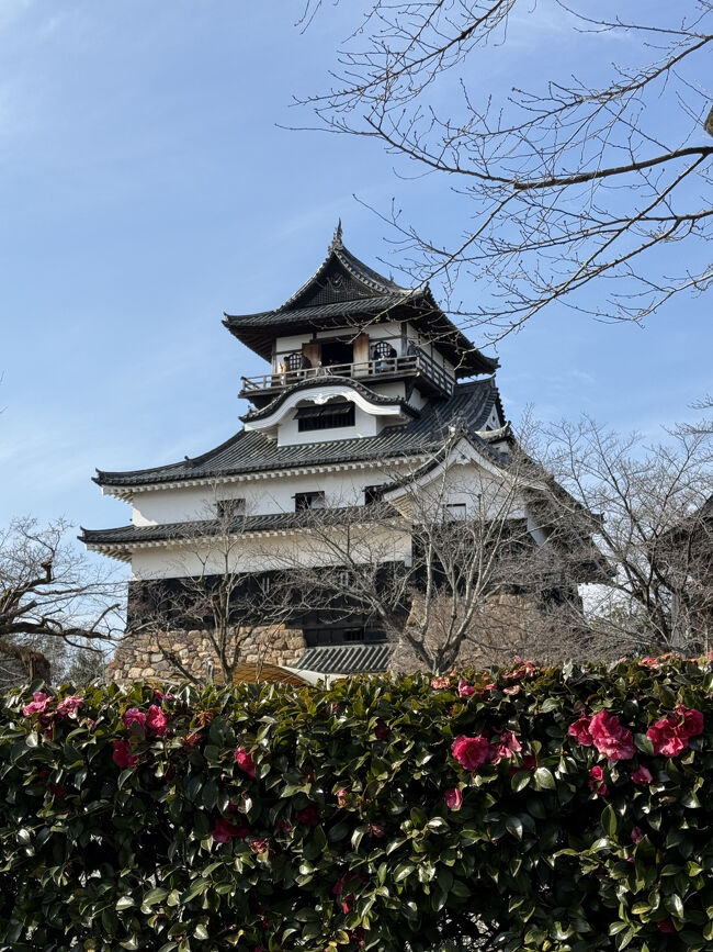 法事で名古屋へ行くことになりました。<br />去年名古屋へ行った時、朝の情報番組(確かドデスカだったかな?)で犬山の特集をしていて、素敵な所だなと思って、今度行ったら犬山行ってみようと思っていました。<br />調べてみたら、名古屋からそれほど遠くもないし、名鉄でお得な切符もあるようなので行ってみることにしました。<br />犬山城と成田山を満喫した後は名古屋のホテルに戻り、夕飯は、これも去年から行きたかった(去年は開店1週間前で行けなかった)、ちいかわラーメン豚へ。<br />1年越しに行きたかった所に行けて大満足です。
