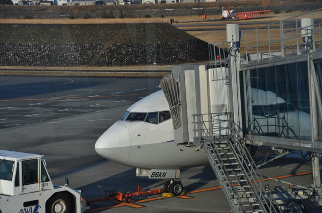 2025年3月日豊本線仙巌園駅を訪ねる旅1（NH312便）