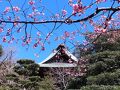 2025年3月　駅からハイキング　逗子