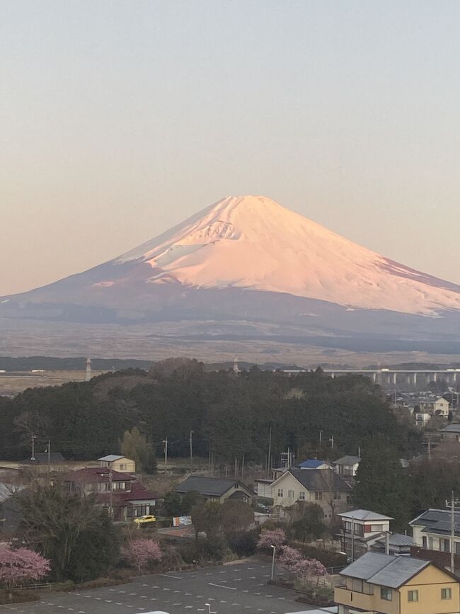 富士山の見える温泉ホテルでの1泊2日での家族旅行。<br />東京から車で行きは中央自動車道にて山梨の富士吉田エリア経由。宿泊は時之栖(ときのすみか)ホテルにて。