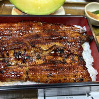 2025.02　恒例！一週間での大移動、微熟女旅(神戸)＆親孝行？旅(別府)＆夫婦城廻旅(静岡)⑤…さらにマニアック「高天神城・横須賀城」