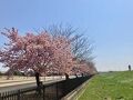 難波田城公園と下南畑を散策