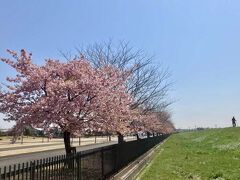 難波田城公園と下南畑を散策