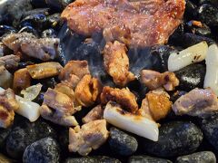 愛犬と一緒に春川（チュンチョン）日帰り旅