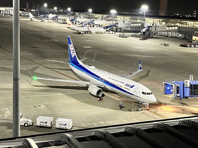ご覧いただきありがとうございます。<br /><br />今回は成田空港から羽田空港まで移動しました。アクセス特急かリムジンバスに乗れば1,2時間で移動できるところを、飛行機で15時間ほどかけて移動しました。<br /><br />今回は成田から名古屋・中部国際空港を経由して羽田空港へ向かうルートで航空券を購入。当日発券で安く飛行機に乗れる25歳以下限定割引運賃「スマートU25」をフル活用しての移動となりました。<br /><br />また、各空港では「プライオリティパス」を活用して空港での滞在時間を存分に楽しみました・・・