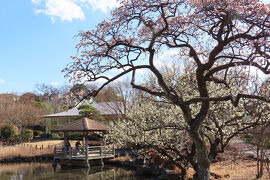 馬場花木園散歩　２月の花（１１種）２０２５年