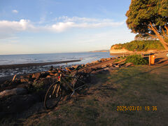 ニュージーランド北島　自転車の旅12/20
