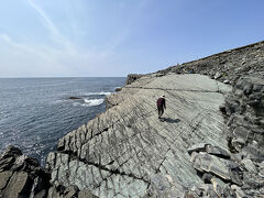 ミステイクン・ポイント_Mistaken Point　エディアカラのポンペイ！ニューファンドランド島に遺る6億年前の原始生物の化石