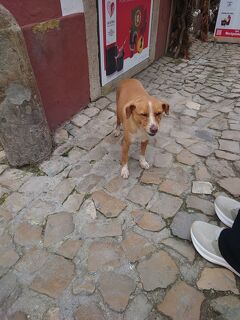 ポルトガル　2025年2月　4日目②