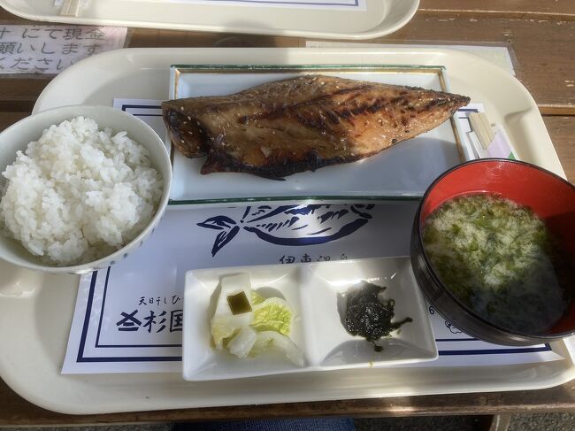 今回約半年ぶりのお泊まり旅行。<br />行き先は伊豆の伊東へ。<br />最近山登りばっかりだったので、たまにはのんびり温泉と海鮮ざんまいが目的です。<br /><br />伊東は5年ぶりくらいかな。<br />そして今回初めての電車で行きました。<br />先日湯河原まで電車で行ったら、あっという間に着いちゃったので、今回も電車で行って見ることに。<br />車で行くよりも圧倒的に早く着きました。<br /><br />まだ行ったことのない最近映えスポットで有名な小室山へ行き<br />夕飯は海鮮。<br />そして朝ごはんは海を見ながらの干物定食。<br />人生最高の朝ごはんだったかも。<br /><br />帰りがけは来宮神社など軽く熱海をまわって帰ってきました。<br />熱海は平日とは思えない人人人。<br />そしてほぼ日本人。<br />ちょっとショックを受けました。