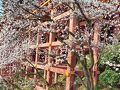 佐賀と太宰府2泊3日　最終日は祐徳稲荷神社と吉野ケ里遺跡