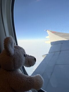 ドイツ1人旅⑩帰国