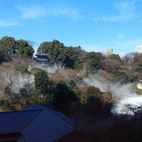 朝から東京雲海　202501椿山荘②