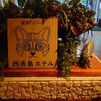 沖縄を満喫する旅行(離島編)その8