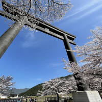 世界遺産：春の熊野古道へドライブ旅４日目：熊野古道（中辺路その２）