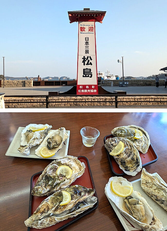 日本三景松島へドライブ。<br /><br />松島センチュリーホテルの駐車場に駐車して、松島観光しました。<br />福浦橋のレストハウスの前が駐車場です。<br /><br />松島の良いところ。<br /><br />①アクセスがよい。<br />仙台駅から松島海岸駅まで仙石線で40分、東北本線で松島駅まで25分<br />車だと、松島海岸ICから松島中心まで10分ほど<br />②グルメ<br />大きなカキが食べられる。仙台銘菓が多い。牛タン、仙台牛、せり鍋。<br />味付けが甘くない。<br />③観光しやすい<br />遊覧船は予約せず乗れて本数が多い。観光場所が歩いて行き来できる。<br />④宿が割安。<br />⑤綺麗な土産物店が多い。<br /><br />天橋立はカニ、宮島はもみじ饅頭、だけど。。松島は景色も味もいろいろ揃っていると思いました。<br /><br /><br /><br />
