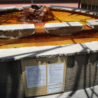 初めての九州旅行・別府温泉⑨