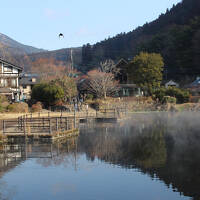 別府*湯の旅♪後編【亀の井ホテル別府・狭霧台・金鱗湖・湯の坪街道・由布院駅・明礬温泉・別府駅】