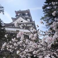 初カツオを食べに高知へ行って来ました。3日目。
