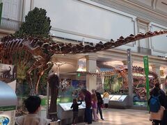 スミソニアン博物館