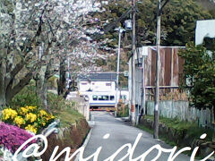 記憶&#21654;&#21857;~『山中渓桜祭り』と近代建築巡り~
