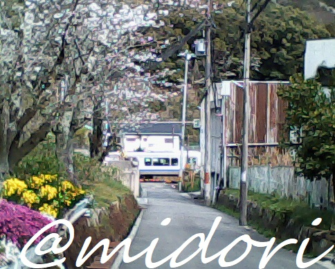 3️⃣月末---.<br /><br />(今年も)『山中渓桜祭り』に参戦出来ました(●´ϖ`●)💕<br />(去年よりも賑わってた様な...(^_^;)💧)<br /><br />天候にも恵まれ,色々楽しめました📷️✨
