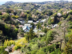 桜、山、池、寺社、2025鎌倉紀行