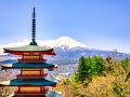 春の富士山。桜が咲いていなかった「新倉山浅間公園」。