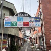 伊東園ホテルってほんとのとこ、どうなの？リバーサイド上田館の訳あり6畳和室に泊まり、昭和レトロ感を楽しむ旅行に行きました。