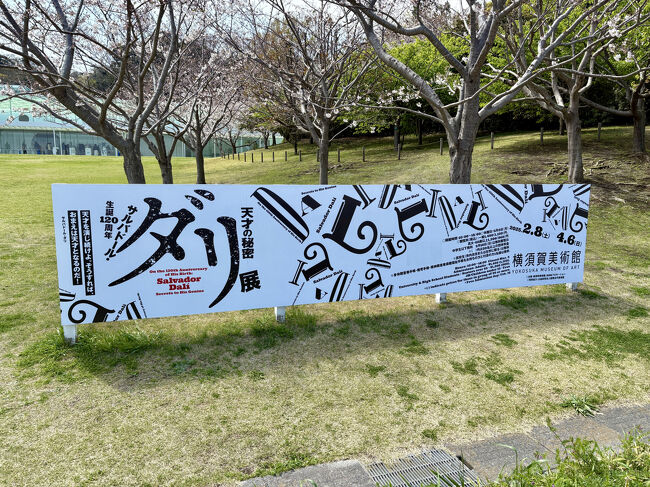 夫婦2人で春の横須賀日帰り旅行（横須賀美術館・ヴェルニー公園・記念艦三笠）
