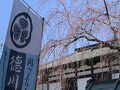 2025年4月 桜を求めて再び小諸へ家族旅