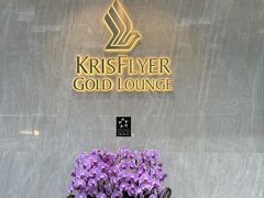 バリ島、シンガポール旅行　その８
