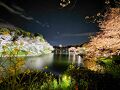 千鳥ヶ淵でお花見 2本立て☆3月:八分咲きの昼編と 4月:満開の夜桜ライトアップ編