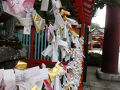 宮城県の旅行記