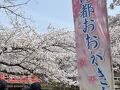大垣で満開の桜?と船下り乗船