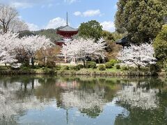 京の春の旅2025