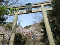 グランクラスで行く敦賀の桜2025