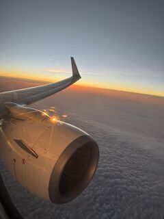 4年間ありがとう！中部～宮古・石垣最終便に乗る。