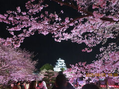 姫路城と桜　２　夜桜編