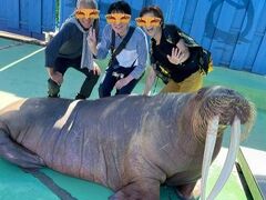 マイケル(仮名)がやって来た！後編