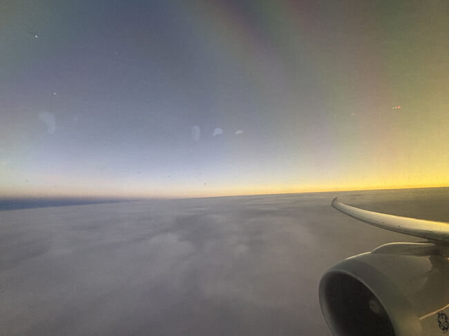 21日間と長かった旅行もいよいよ帰国の日です。 <br />メキシコシティでの待ち時間が10時間と長くて大変でしたが、成田行きの飛行機が飛び立つとほっとしました。<br /><br />1日目 3/6(木)AM057 11:50成田発09:05メキシコシティ着 メキシコシティ観光 メキシコシティ泊<br />2日目 3/7(金)AM324 09:35メキシコシティ発12:41チェトゥマル着 サンタリタ遺跡 ベリーズシティ泊(ベリーズ)<br />3日目 3/8(土)ブルーホール遊覧飛行 カハル・ペッチ遺跡 ティカル国立公園泊(グアテマラ)<br />4日目 3/9(日)ティカル遺跡 博物館 ティカル国立公園泊(グアテマラ)<br />5日目 3/10(月)キリグア遺跡 リオ・オンド泊(グアテマラ)<br />6日目 3/11(火)コパン遺跡 コパン泊(ホンジュラス)<br />7日目 3/12(水)グアテマラシティ市内観光(中央公園、カテドラル、国立文化宮殿)グアテマラシティ泊(グアテマラ)<br />8日目 3/13(木)チチカステナンゴ観光(サント・トーマス教会、カルバリオ教会、インディヘナ市)グアテマラシティ泊(グアテマラ)<br />9日目 3/14(金)アンティグア市内観光(十字架の丘、カテドラル、メルセー教会、カプチナス修道院、サンタ・クララ修道院)グアテマラシティ泊(グアテマラ)<br />10日目 3/15(土)ホヤ・デ・セレン遺跡 ラ・ウニオン泊(エルサルバドル)<br />11日目 3/16(日)エルサルバドル→ホンジュラス→ニカラグア レオン泊(ニカラグア)<br />12日目 3/17(月)レオン市内観光(カテドラル、レコレクシオン教会)マナグア観光(カテドラルの廃墟、国立宮殿)グラナダ市内観光(コロン公園、カテドラル)グラナダ泊(ニカラグア)<br />13日目 3/18(火)ニカラグア→コスタリカ カエル博物館 モンテベルデ泊(コスタリカ)<br />14日目 3/19(水)モンテベルデ自然保護区 サンホセ泊(コスタリカ)<br />15日目 3/20(木)サン・ヘラルド・デ・ドタ(ケツァル探し)カルタゴ観光(ロス・アンヘレス大聖堂)サンホセ泊(コスタリカ)<br />16日目 3/21(金)CM763 8:45サンホセ発11:09パナマシティ着 パナマシティ市内観光(パナマ・ビエホ古代遺跡)パナマシティ旧市街(カスコ・ビエホ)観光(エレーラ広場、フランス広場、サン・ホセ教会、カテドラル)パナマシティ泊(パナマ)<br />17日目 3/22(土)パナマ運河クルーズ パナマシティ泊(パナマ)<br />18日目 3/23(日)アグアクララ閘門ビジターセンター カリブ海沿岸の要塞群観光(サン・ロレンソ要塞、サン・ベロニモ要塞、サンティアゴ要塞)パナマシティ泊(パナマ)<br />★19日目 3/24(月)CM136 11:32パナマシティ発14:30メキシコシティ着<br />★20日目 3/25(火)AM058 00:05メキシコシティ発<br />★21日目 3/26(水)06:20成田着<br />