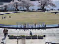 桜を見に津久井湖城山公園へ