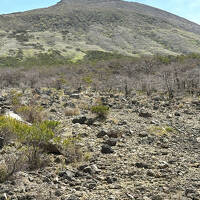 九州遠征山旅　日本百名山＜霧島山（韓国岳）＞ 神話と自然が交錯する山  神々の息吹を感じる