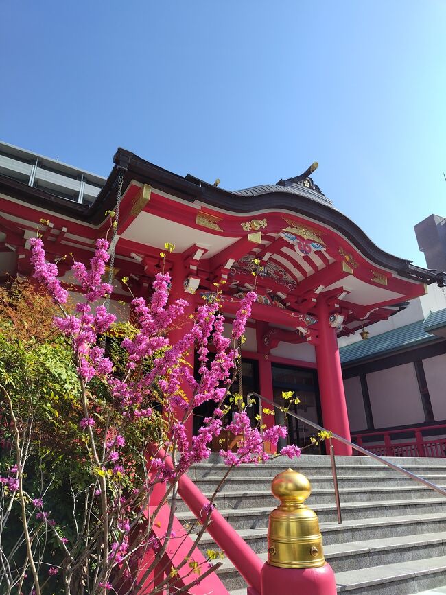 新宿駅からスタートのお散歩です。